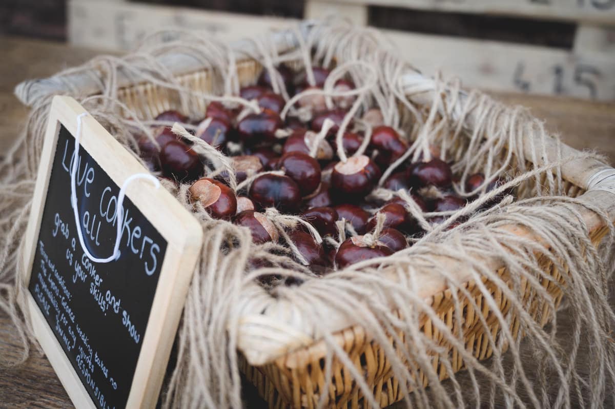 Autumn wedding in Herefordshire with guests playing conkers